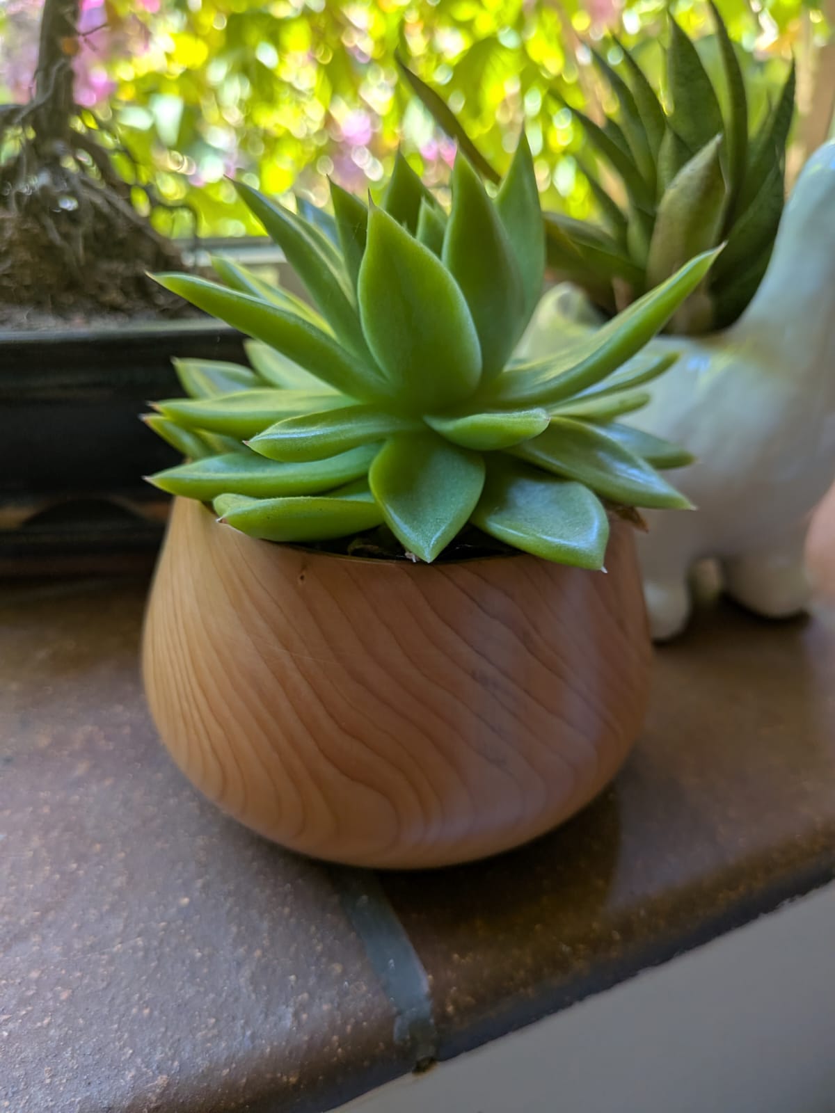 Wood Quirking Weekly – Issue 7